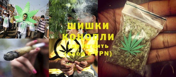 PSILOCYBIN Алексин