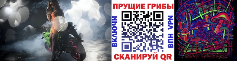 купить закладку  Томилино  Галлюциногенные грибы MAGIC MUSHROOMS 